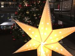 -D STAR COFFEE帝星咖啡