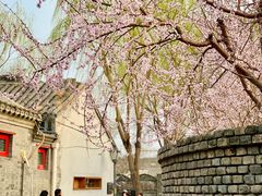 -春风习习