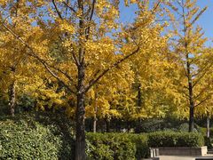 -杭州城北体育公园