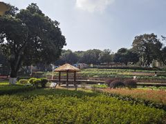-天河儿童公园