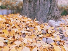 -苏州河梦清园环保主题公园