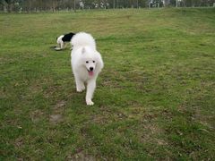-芭比堂动物医院·犬猫全科·异宠专科(雁塔分院)