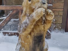 -世界之窗阿尔卑斯冰雪世界