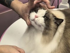 -FAELING PETS美天灵宠物(富力广场店)