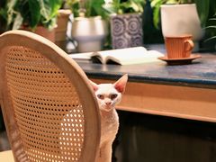 -自由生长植物工作室(深港花卉中心店)
