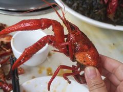 雪菜龙虾-盱眙红叶龙虾(金源北路店)