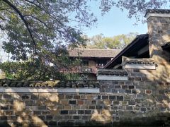 -八大山人梅湖景区
