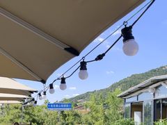 -蘇河湾·新鲁菜·泰山宴(泰山店)