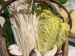 -同仁四季椰子鸡(福田东园总店)