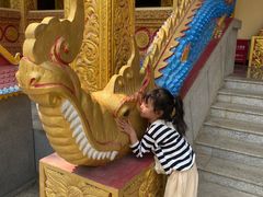 -西双版纳勐泐文化旅游区