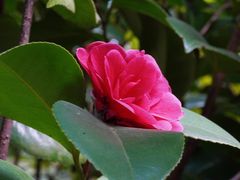 -宁波市保国寺古建筑博物馆