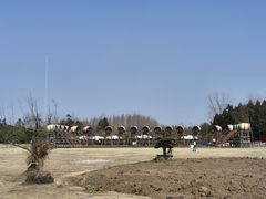 -东平国家森林公园