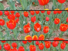 -咸阳湖景区-统一广场