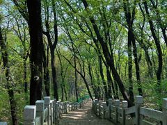 -虞山风景区