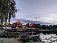 -长春市南湖公园