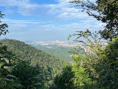 -杭州半山国家森林公园