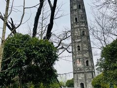 -上海佘山国家森林公园天马山园