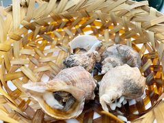 -千岛蚝高压锅生蚝·人参火锅(白云万达店)