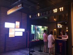 -CGV影城(壹方城IMAX店)