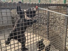 -水上乐园·欢乐世界