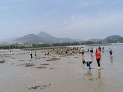 -青岛沙子口国家中心渔港