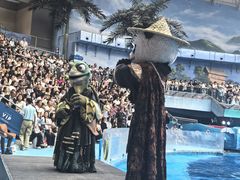 -海合安成都极地海洋公园