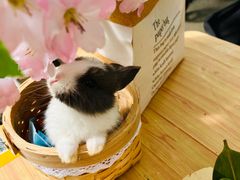 -大象厨房(重庆道店)