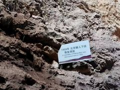 -北京周口店北京人遗址博物馆