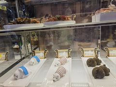 -童趣廊·儿童波波池·海洋球(长隆横琴湾酒店)
