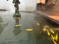 -觀芷隐轩