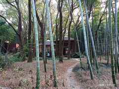 -同里国家湿地公园