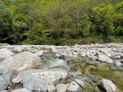 -陕西省红河谷森林公园