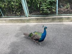 -御轩足道·SPA·养生·保健(瑞金北路店)