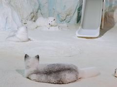 -珠海长隆海洋王国