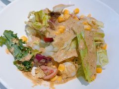-船歌·鱼水饺青岛菜(国贸商城店)