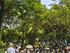 -成都市活水公园