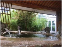 -中家鑫园温泉酒店鑫悦汤泉