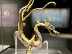 -河南博物院