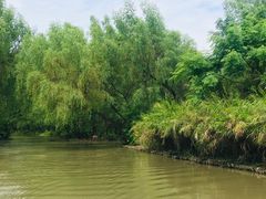 -大湾区中央湿地公园