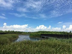 -芒洲湿地公园