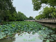 -南通濠河风景名胜区