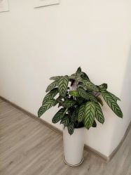-SKIN79皮肤管理中心