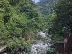 -广州市石门国家森林公园