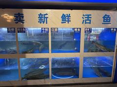 -麻麻鱼府主题涮锅(明珠家园店)