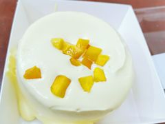 芒果流心蛋糕-糕小爱·动物奶油生日蛋糕定制(合肥总店)