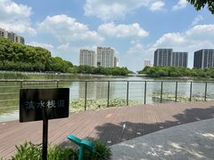 -南翔镇银翔湖公园