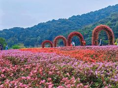 -广州市石门国家森林公园