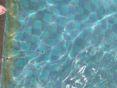 -南宫温泉水世界