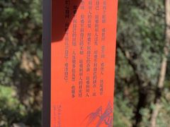 -韬光茶庵