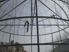 -清风小镇闯关东影视基地